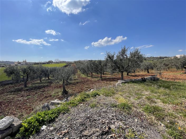 Image No.40-3 Bed Country House for sale