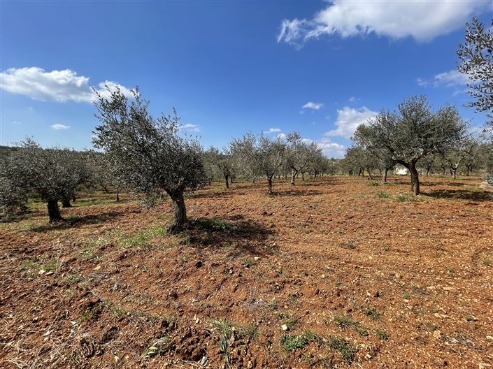 Image No.43-3 Bed Country House for sale