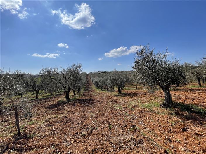 Image No.44-3 Bed Country House for sale