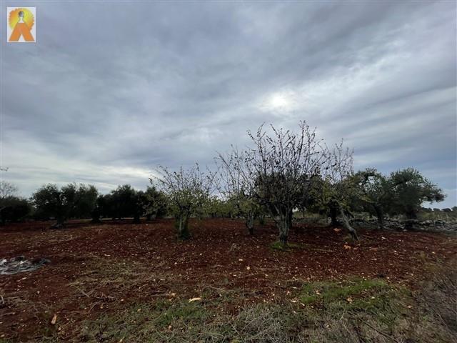 Image No.20-2 Bed Trullo for sale