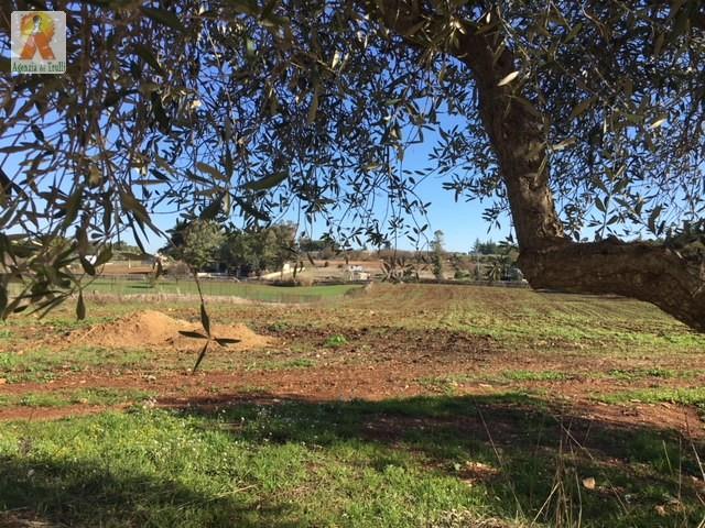 Image No.22-2 Bed Trullo for sale