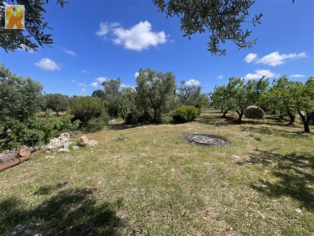 Image No.57-4 Bed Trullo for sale