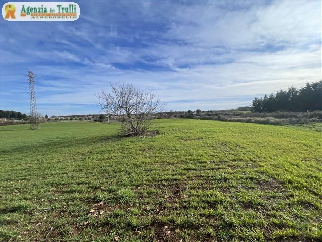 Image No.38-1 Bed Country House for sale