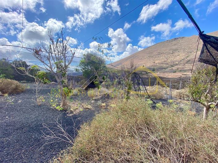 Image No.39-2 Bed Finca for sale