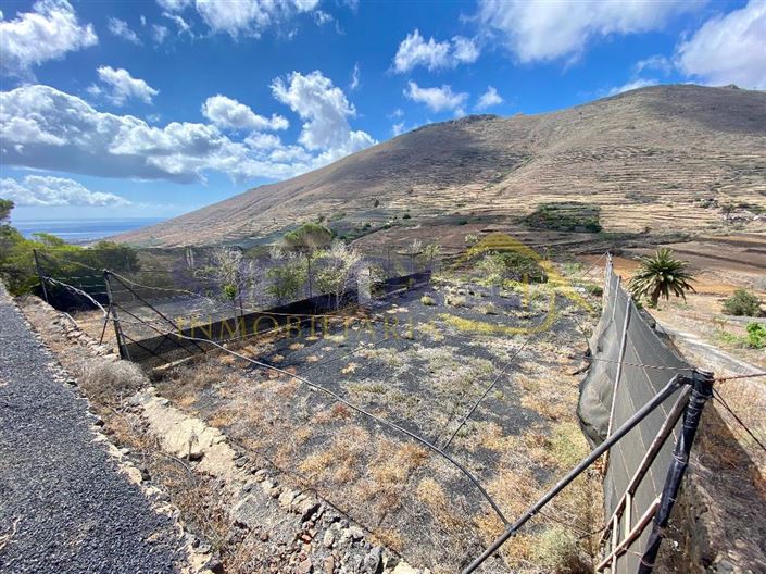 Image No.40-2 Bed Finca for sale