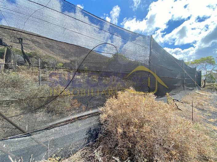 Image No.41-2 Bed Finca for sale