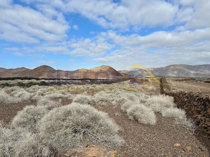 Image No.3-Land for sale