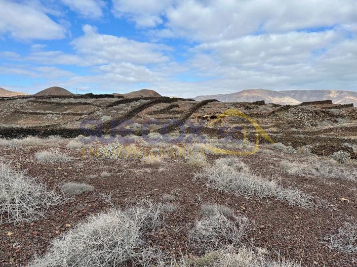 Image No.5-Land for sale