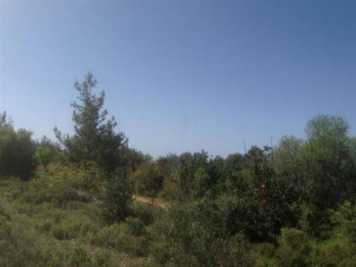 Image No.2-Land for sale