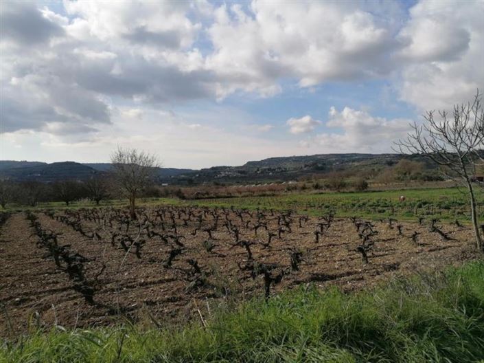 Image No.2-Land for sale