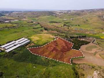 Field - Agia Varvara, Paphos