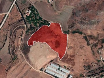 Field - Agia Varvara, Paphos