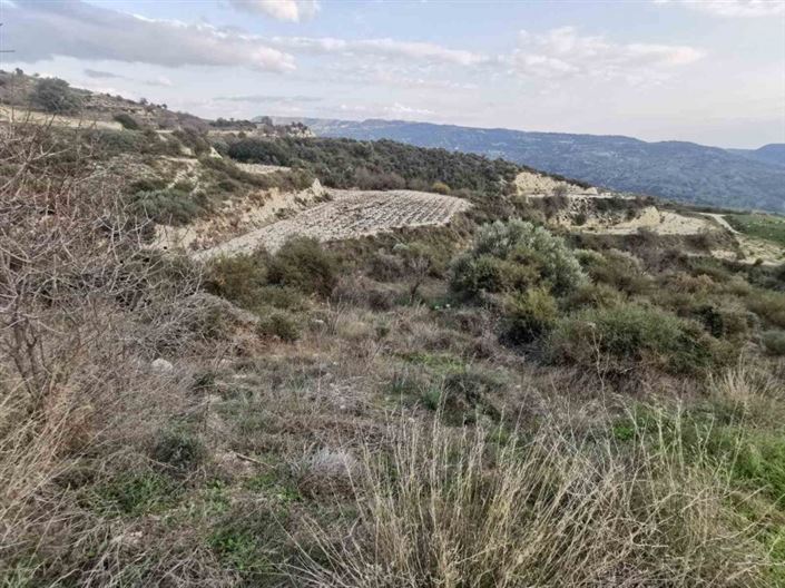 Image No.2-Land for sale