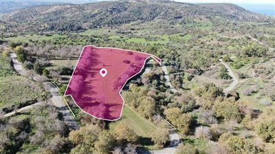 Agricultural Field, Lysos, Paphos