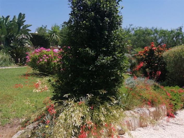 Image No.2-4 Bed Bungalow for sale