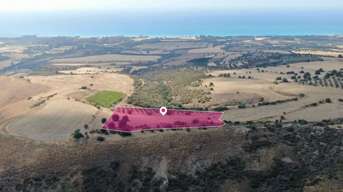 Image No.2-Terre à vendre à Paphos