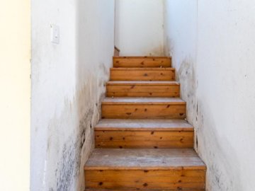 House - Valley view - Nata, Paphos