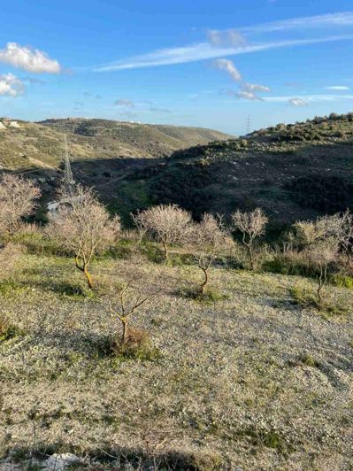 Image No.2-Land for sale