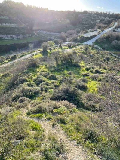 Image No.3-Land for sale