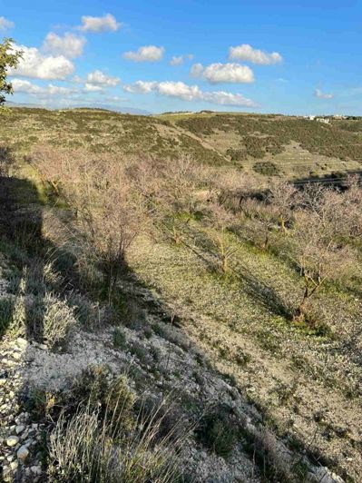 Image No.4-Land for sale