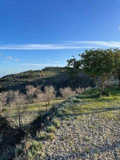 Image No.5-Land for sale