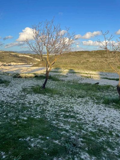 Image No.6-Land for sale