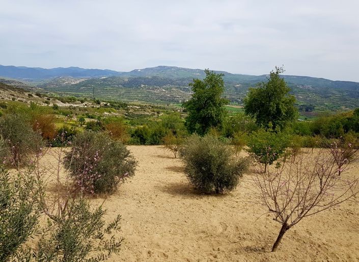 Image No.2-Land for sale