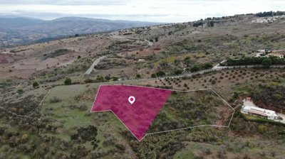 Share of Residential field, Drouseia, Paphos