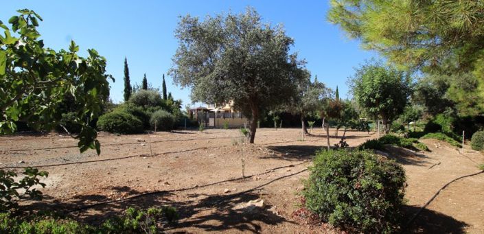 Image No.2-3 Bed Villa for sale