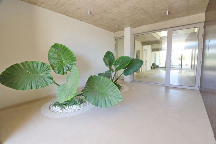 Image No.4-3 Bed Penthouse for sale