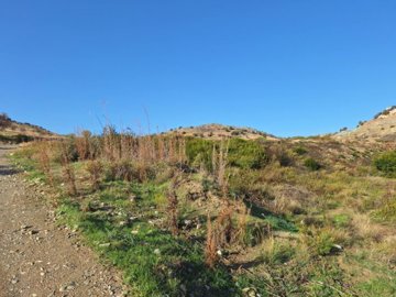 Agricultural Land For Sale  in  Anarita