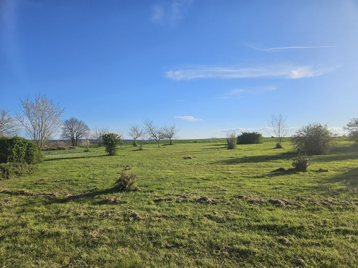 Image No.20-3 Bed House for sale