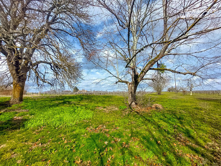 Image No.2-2 Bed House for sale