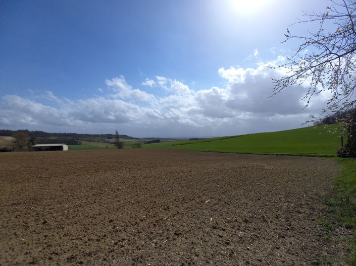 Image No.19-3 Bed House for sale