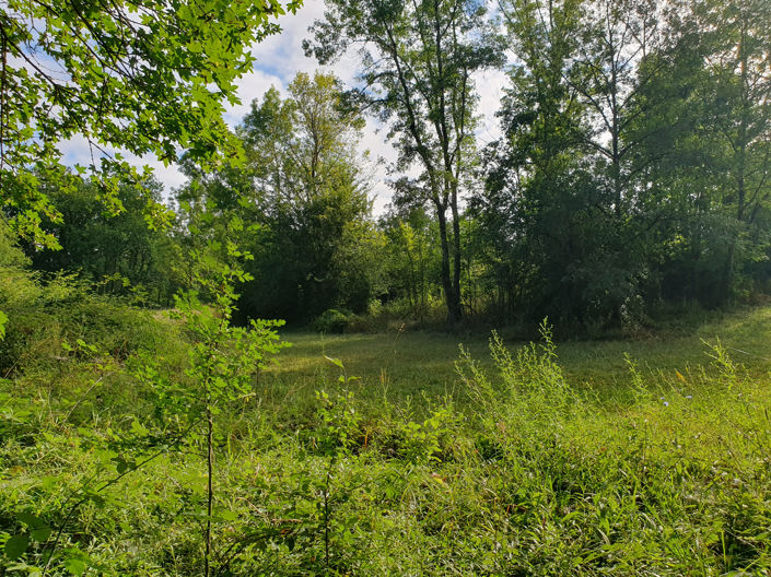 Image No.10-3 Bed House for sale