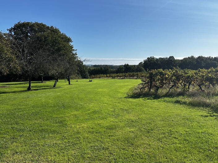 Image No.25-5 Bed House for sale