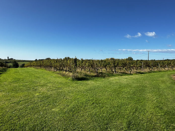 Image No.26-5 Bed House for sale