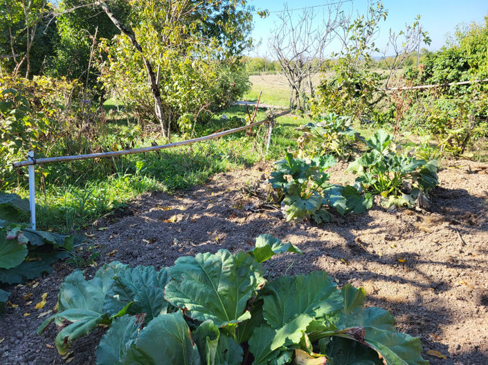 Image No.13-4 Bed House for sale