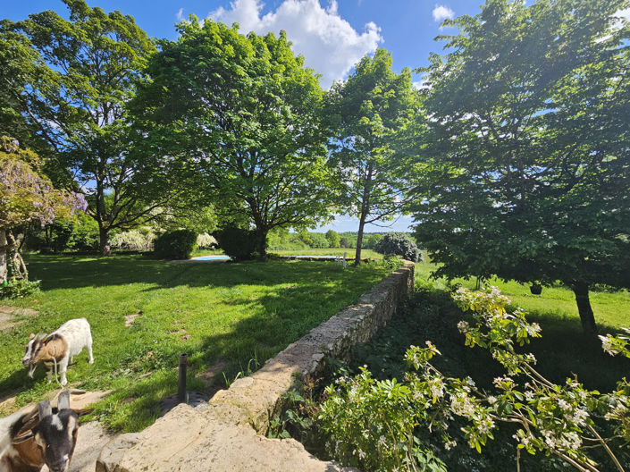 Image No.2-5 Bed House for sale