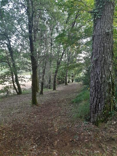 Image No.20-4 Bed House for sale