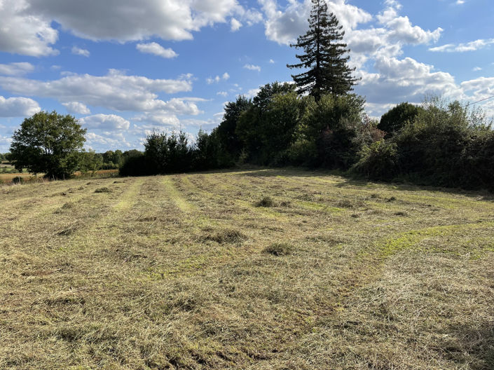 Image No.19-5 Bed House for sale