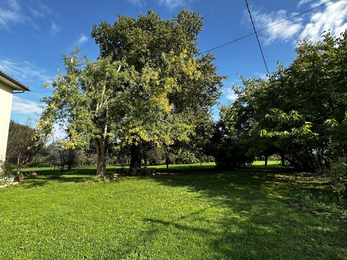 Image No.25-5 Bed House for sale