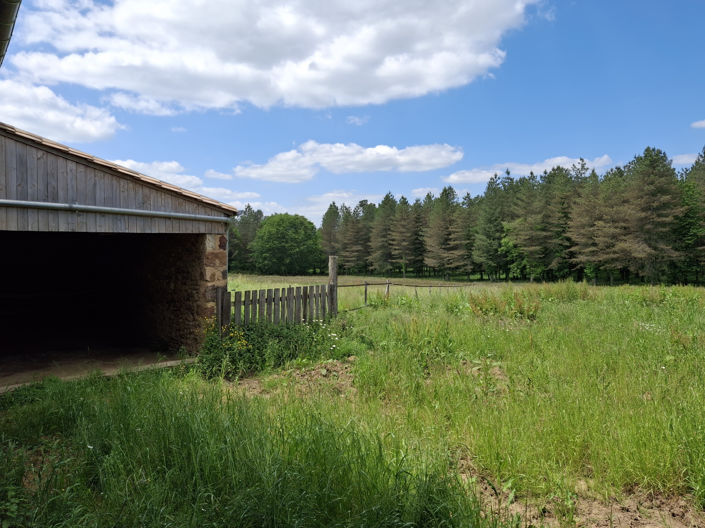 Image No.16-4 Bed House for sale