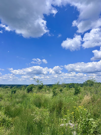 Image No.2-Land for sale