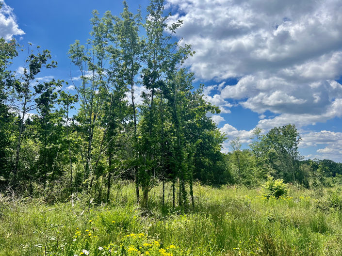 Image No.4-Land for sale