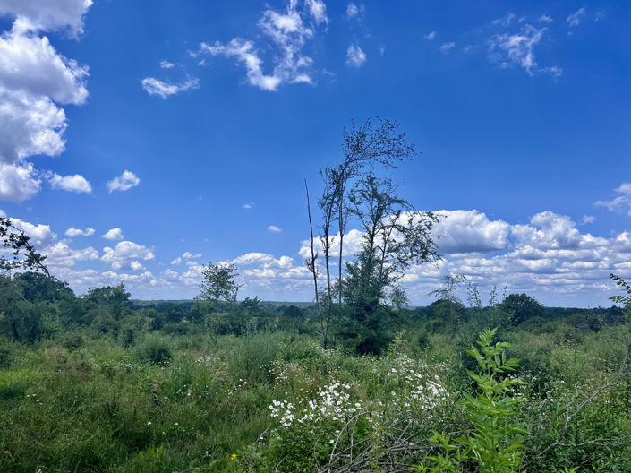 Image No.5-Land for sale