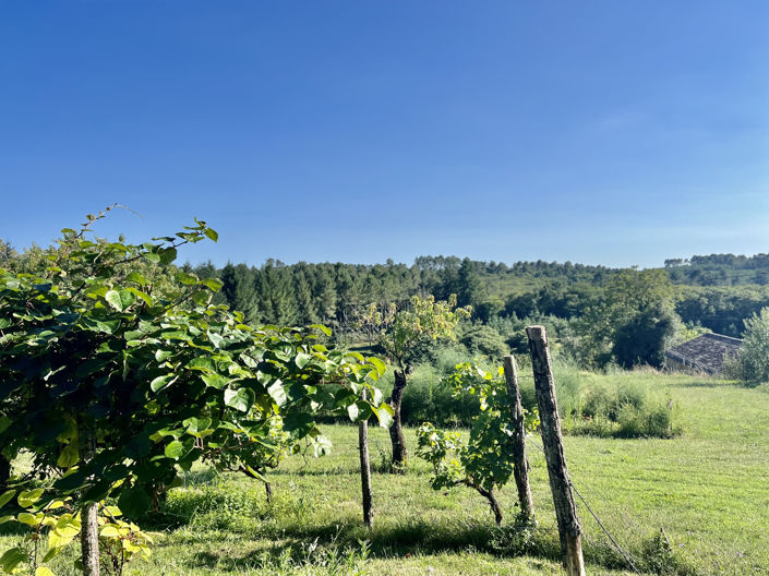 Image No.3-4 Bed Property for sale