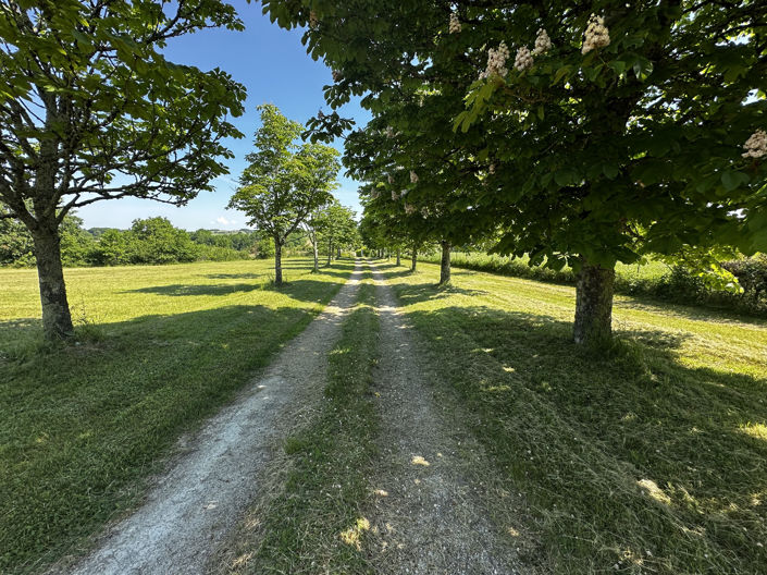 Image No.27-4 Bed House for sale