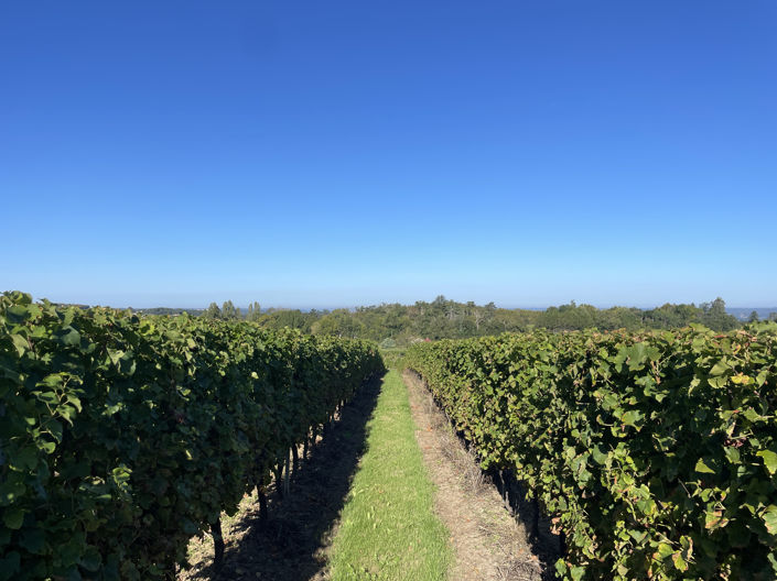 Image No.8-6 Bed House for sale