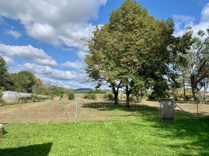 Image No.5-5 Bed House for sale